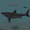Coral Sharks