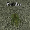 Peridas-Crocodile